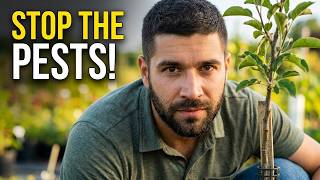 Your Apple Trees Are Under Attack! Here's the Defense Plan