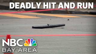 Famous Bicyclist dies, hit-and-run driver in custody after collision in San Jose Net Worth