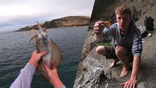 CATCHING OWN FOOD | Catch and Cook in a CAVE | Jetty Squid Fishing South Australia - Ep 28