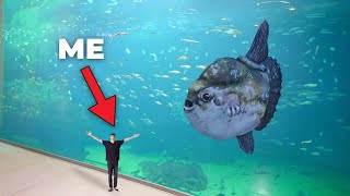 LARGEST AQUARIUM IN NORTH EUROPE!! - (Private Tour) by George Mavrakis 775,705 views 4 months ago 18 minutes