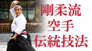 剛柔流空手伝統技法 Goshi Yamaguchi Goju-ryu Kumite - YouTube