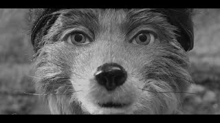 Alexandre Desplat - Canis Lupus Slowed Fantastic Mr. Fox