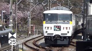 JR東日本185系宮ｵｵOM09編成(Express 185色)踊り子109号伊豆高原到着