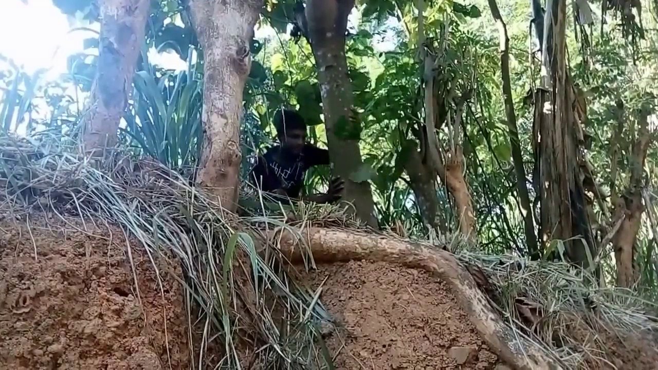 Drug Killer   Short Film