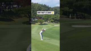 Dj Doing Dj Things What An Approach