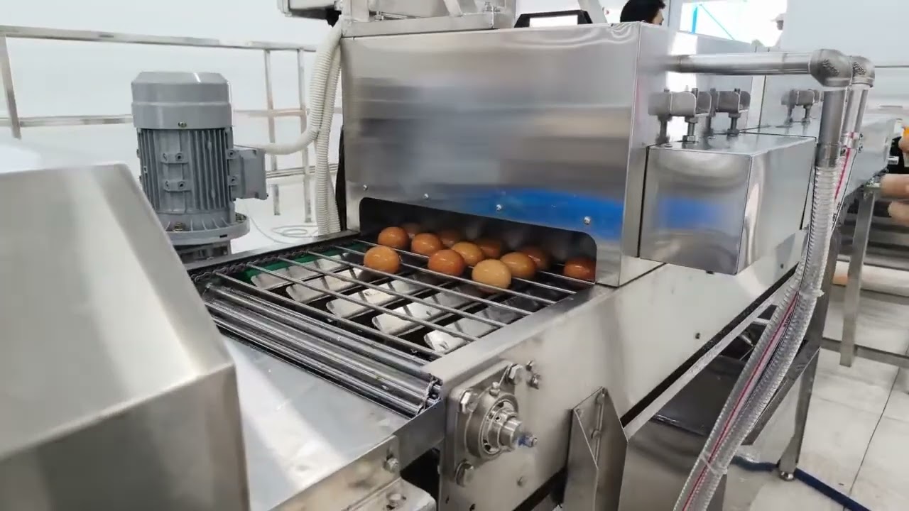 Collecting Chicken Eggs at Farm 🐔🥚