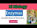 Classification of Enzymes in sindhi class 11 ll IBA junior science teacher