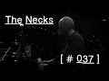 The Necks - Live in Concert