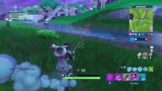 Fortnite FGG CLAN duo squad