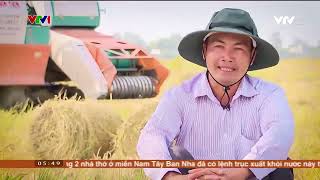 Biến rơm rạ thành tiền | VTV24