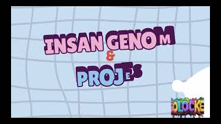 İnsan Genom Projesi Bilim İnsanları Dnamızı Nasıl Çözdü?