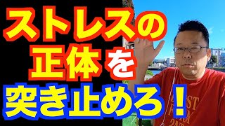 ストレスの原因を突き止める方法【精神科医・樺沢紫苑】