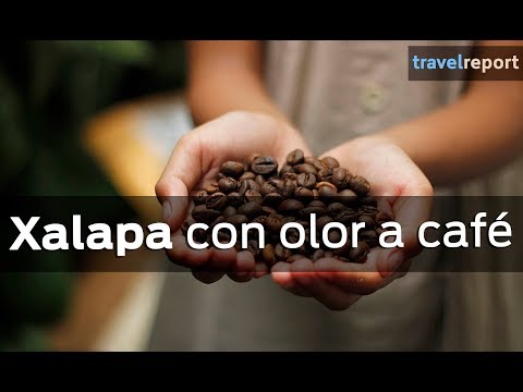 Xalapa y Coatepec: travesía con aroma a café