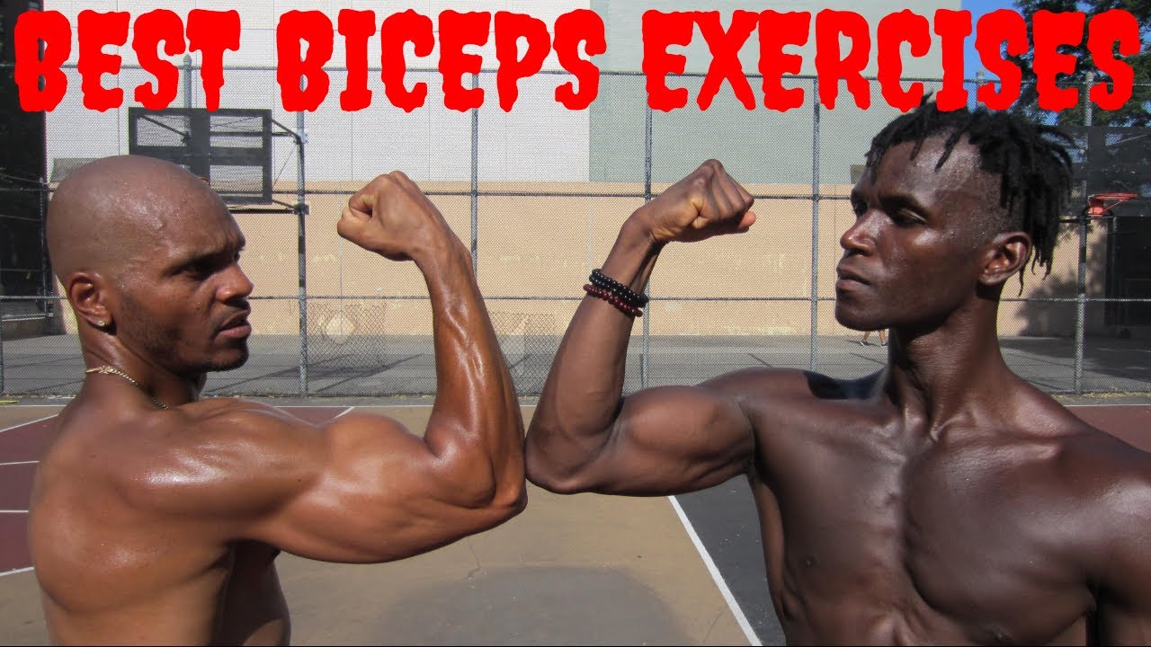 6 Best Biceps Exercises - The Perfect Biceps Workout | Thats Good Money