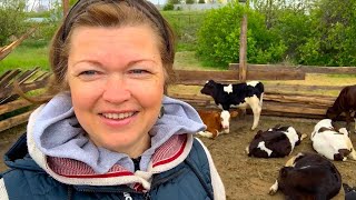 😡ЭТИМ ЛЮДЯМ ХОТЬ КОЛ НА ГОЛОВЕ ТЕШИ❗️УЖАС ЧТО ЗЛОБА ДЕЛАЕТ🐄ХОЗЯЙСТВО ВЫРОСЛО ДО ПРЕЛЕЛА!