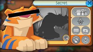 I Found a Secret Animal Jam Beta Account!