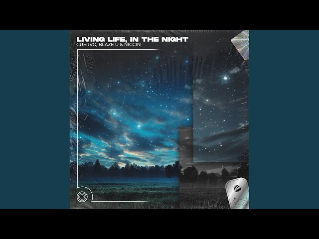Living Life, In The Night (Techno Remix)