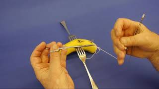 05 Session 4 Part 2 Suturing with String Slide 282