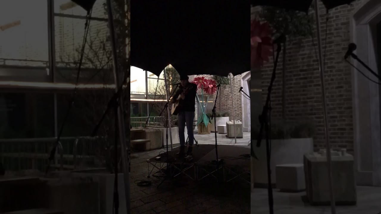 Dance monkey Cover by Allie Sherlock