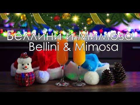 Video: De Magiske Egenskaber Ved Mimosa