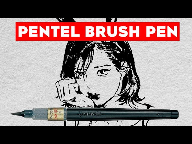 Kim Jung-Gi 2013 Sketch Collection (book flip) - YouTube