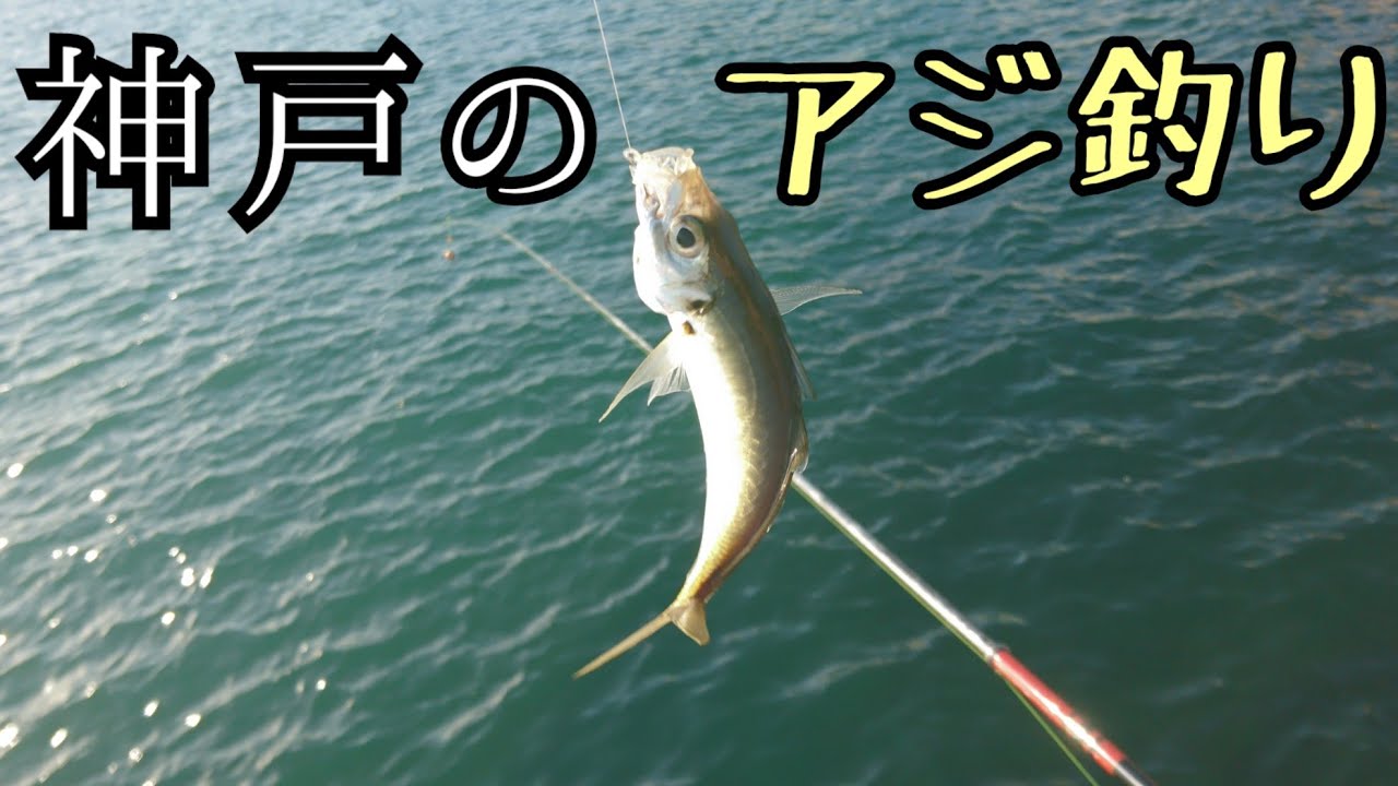 ウキ釣り フカセ釣りでオススメのヒシャク 柄杓 3選 がまかつ まき な インプレ 猪丸の釣りとグルメと