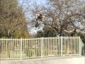 Dylan stark alienation bmx