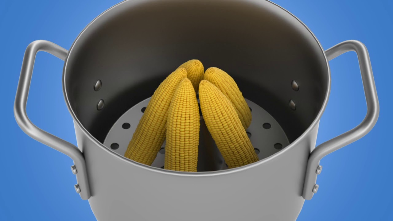 Anna Marie Licata | Volcano Steamer