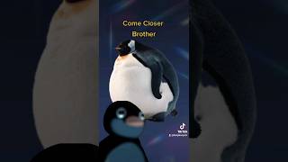 Penguin Just Big Bone