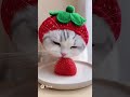 【ASMR】イチゴの帽子を被ったネコがイチゴを食べる動画 #AI #shorts