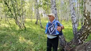 картинка: #башкортостан#әбйәлил #гармун #юлы Насих Сальманов...