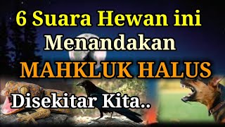 6 HEWAN INI MENANDAKAN ADANYA MAKHLUK HALUS DI SEKITAR KITA,Pertanda hewan, Makhluk Gaib, Arti hewan