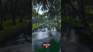 #natural #nature #kerala #shortvideo #shorts #youtubeshorts #love #lifeisbutadream