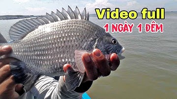Câu cá ,1 ngày 1 đêm săn hàng khủng ở biển Cần Giờ (full video)