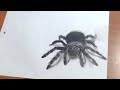 HOW TO DRAW A 3D SPIDER ILLUSION 👍🏻👍🏼👍🏽