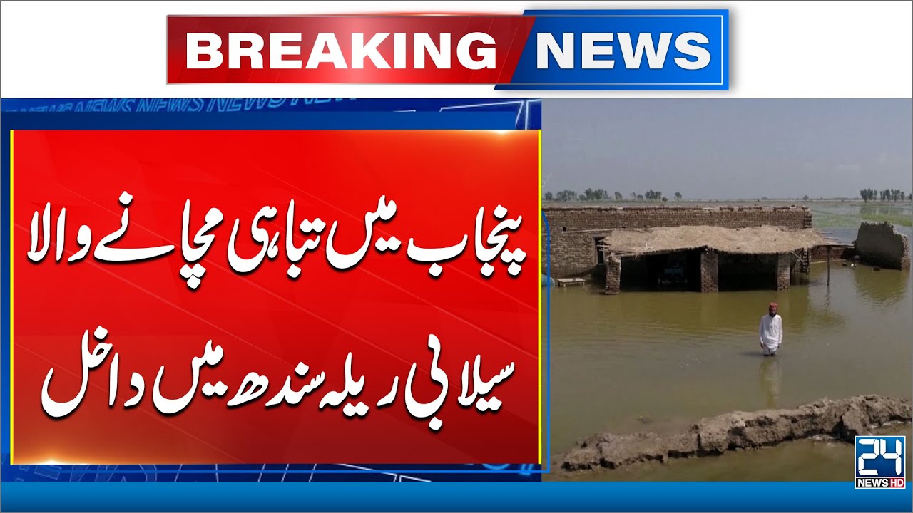 Disaster Alert: Devastating Punjab Flood Enters Sindh - 24 News HD
