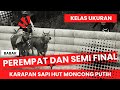 Babak semi final  kelas ukuran lomba karapan sapi hut moncong putih