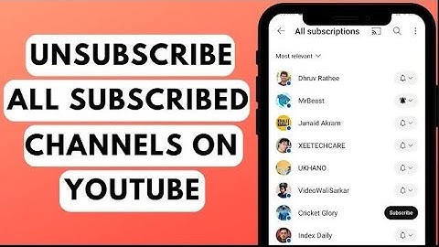 How to Unsubscribe All Subscribed Channels on YouTube At Once (2023)