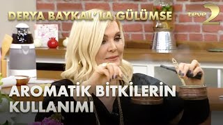 Derya Baykalla Gülümse Aromatik Bitkilerin Günlük Hayatta Kullanımı