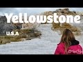 El primer parque nacional del mundo! - Yellowstone National Park