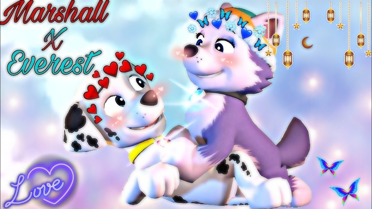 Paw Patrol ~🔥Marshall X Everest❄️~ {Crushed}
