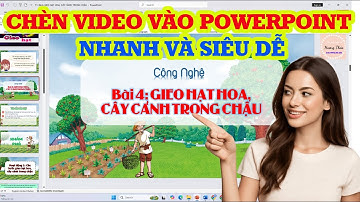 Cách chèn video vào trong Powerpoint chạy tự động siêu dễ
