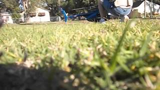 1st Test hover MD500E