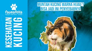 MUNTAH KUCING HIJAU DAN CARA MENGATASINYA !