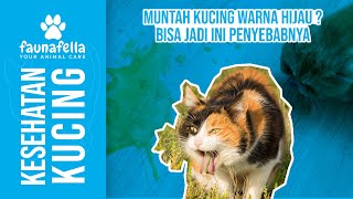 MUNTAH KUCING HIJAU DAN CARA MENGATASINYA !