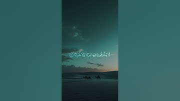 تلاوة خاشعة تهز القلب وتمنحك سكينة وطمأنينة. لحظات إيمانية تقربك من الله وتضيء روحك نوراً وتريح صدرك