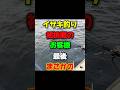【初挑戦 釣り】イサキ釣り初挑戦のお客様最後まさかの #釣り #イサキ #初心者