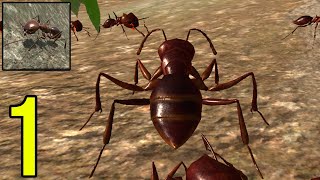 Ant Simulation 3D - Insect Survival Game - Gameplay Walkthrough Part 1 (iOS, Android) screenshot 2