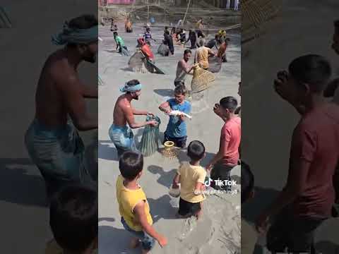 গ্রামীণ হাওড়ে অসাধারণ মাছ ধরার দৃশ্য #foryou #fish #fishing #fishingvideo #shortsfeed #fishinglife