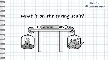 What is on the spring scale?